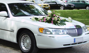 Limousine Hire Edgecliff Sydney